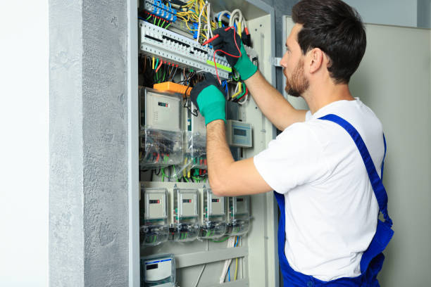 Best Electric Panel Repair  in Sevierville, TN